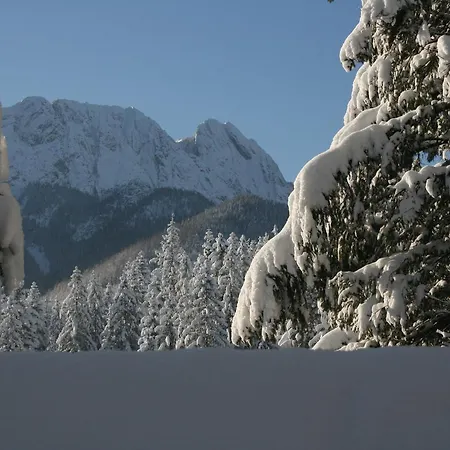 Apartamenty Paradis Zakopane